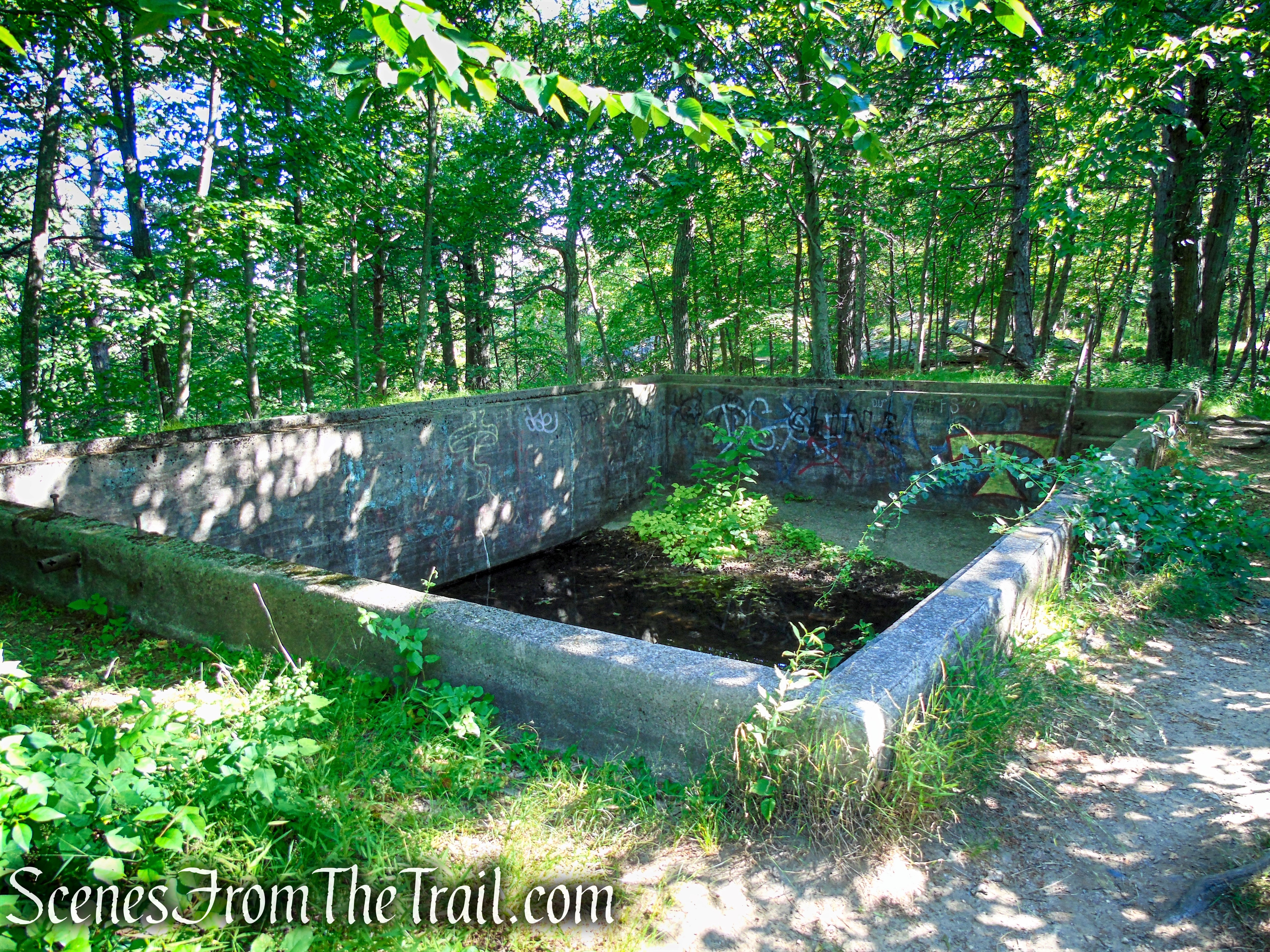 Castle Loop Trail – Ramapo Mountain State Forest