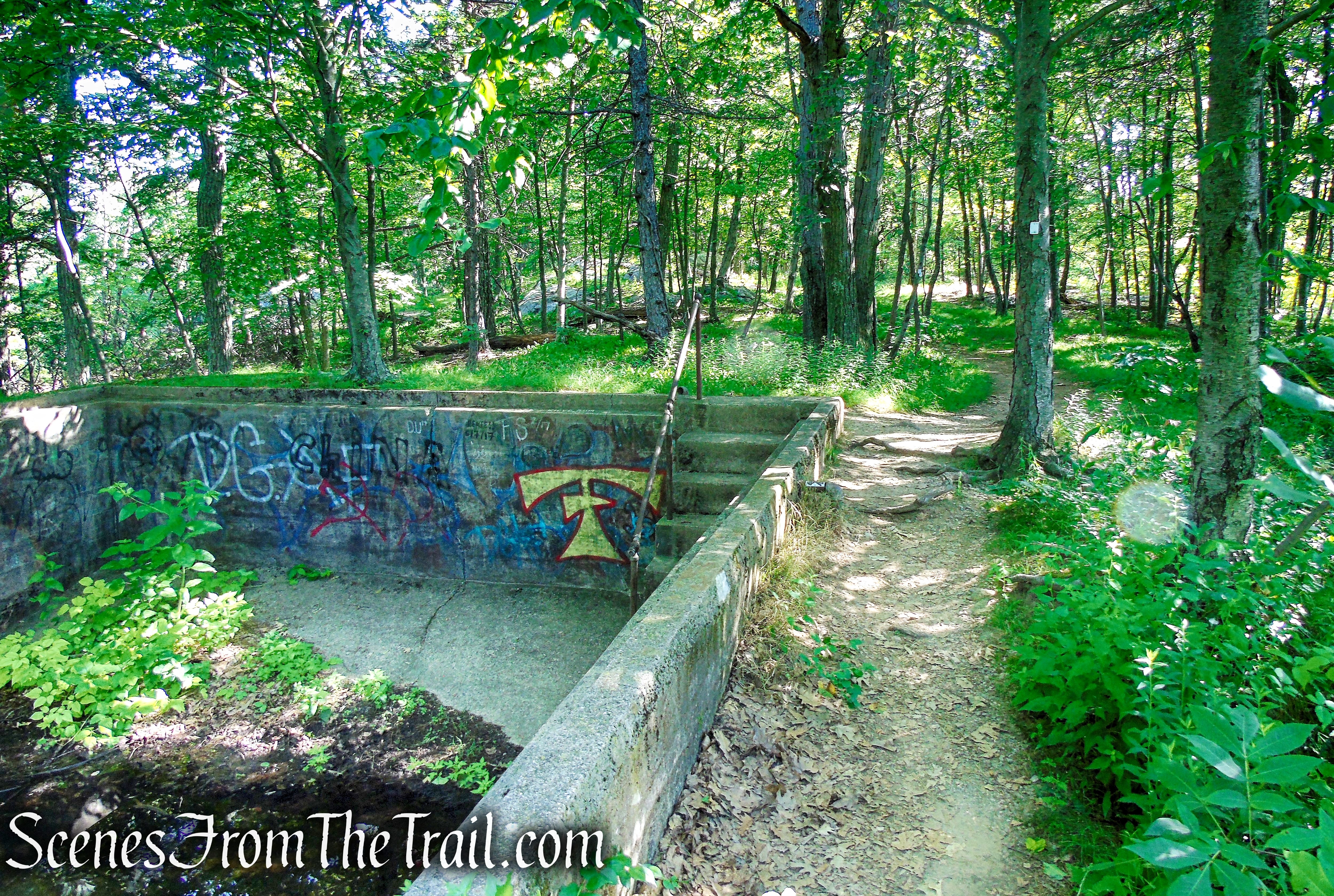 Castle Loop Trail – Ramapo Mountain State Forest