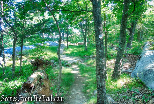 Castle Loop Trail – Ramapo Mountain State Forest