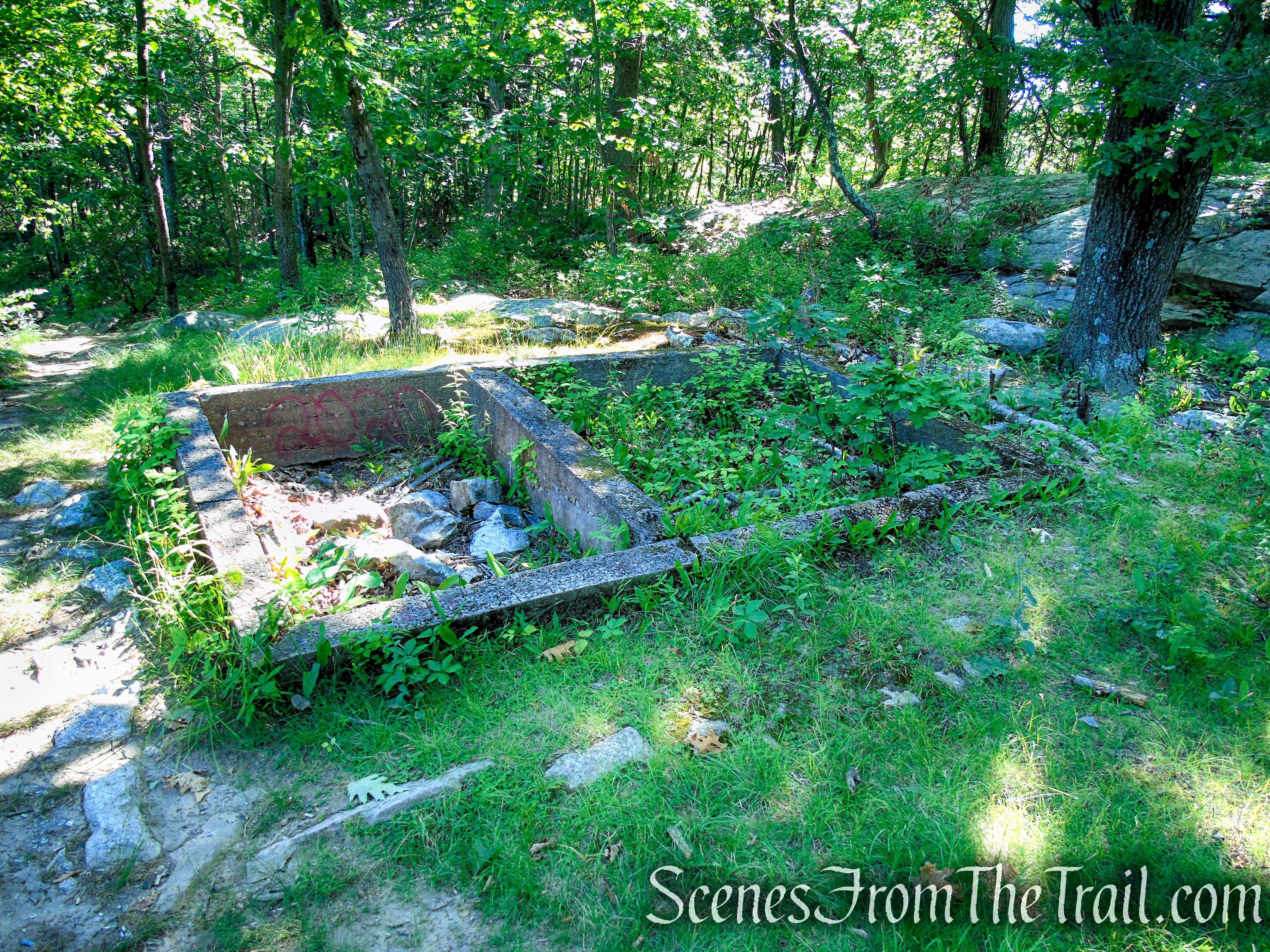 Castle Loop Trail – Ramapo Mountain State Forest
