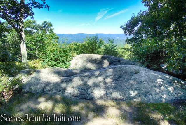 Castle Loop Trail – Ramapo Mountain State Forest