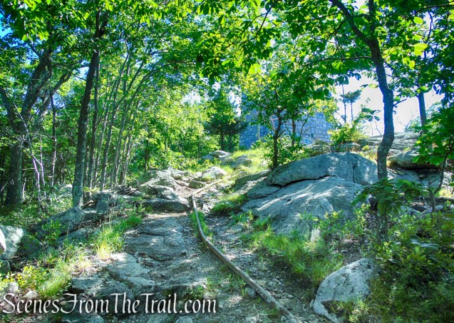 Castle Loop Trail – Ramapo Mountain State Forest