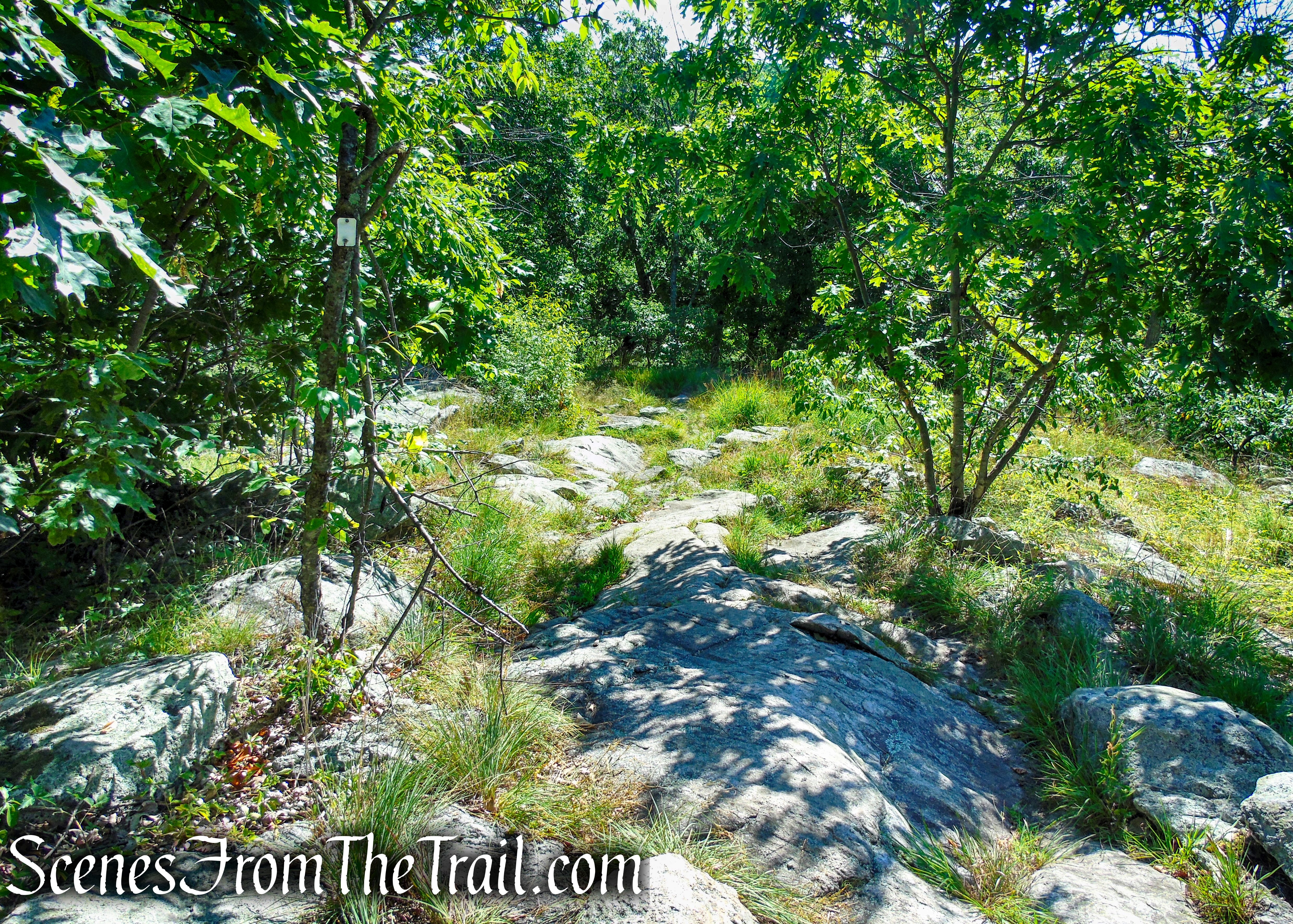 Castle Loop Trail – Ramapo Mountain State Forest
