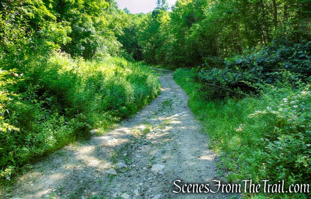 Castle Loop Trail – Ramapo Mountain State Forest