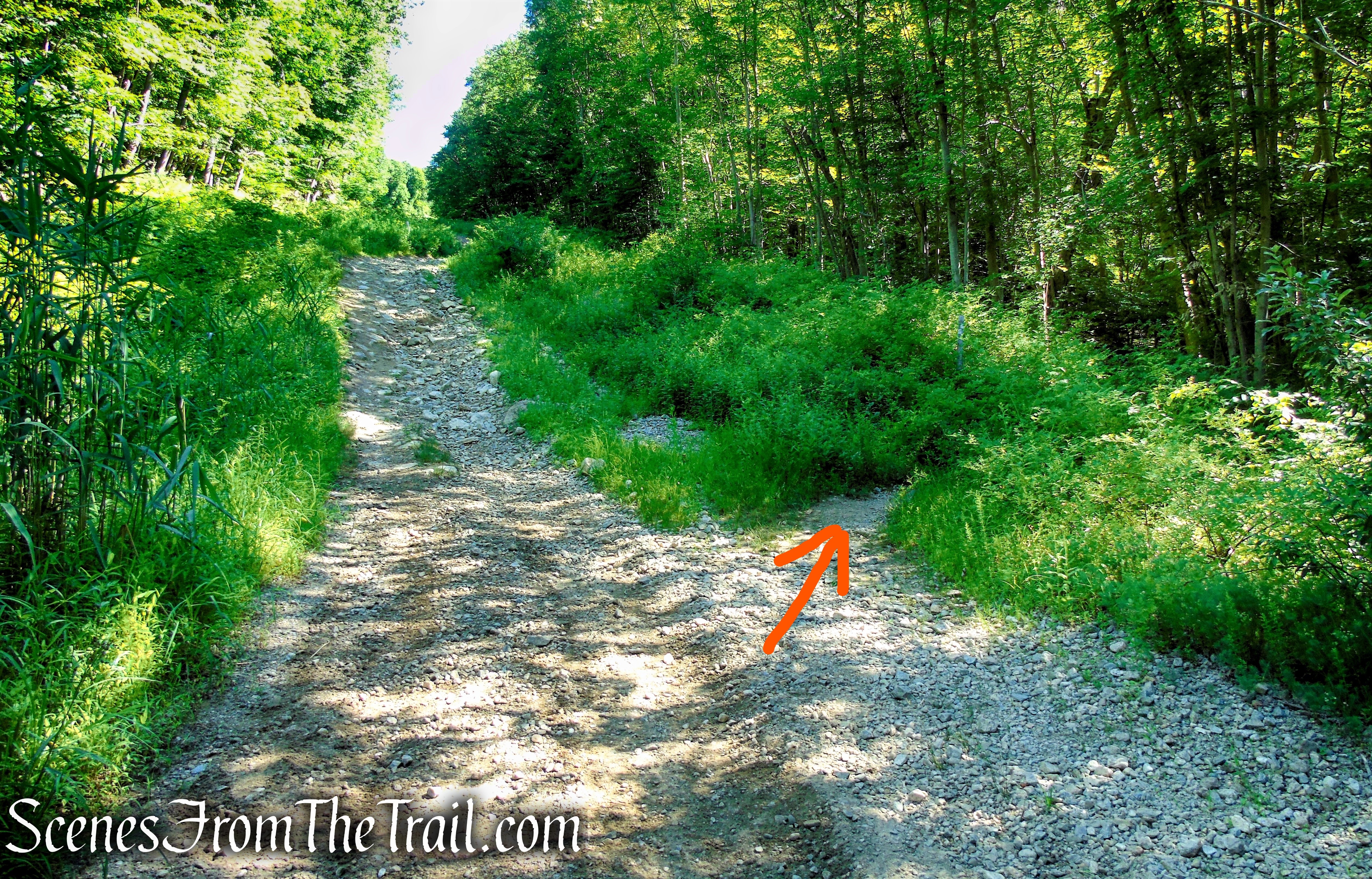 Castle Loop Trail – Ramapo Mountain State Forest