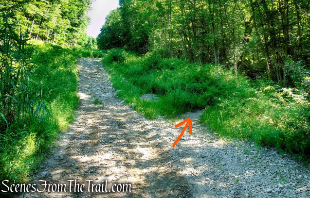 Castle Loop Trail – Ramapo Mountain State Forest