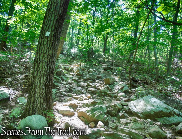 Castle Loop Trail – Ramapo Mountain State Forest