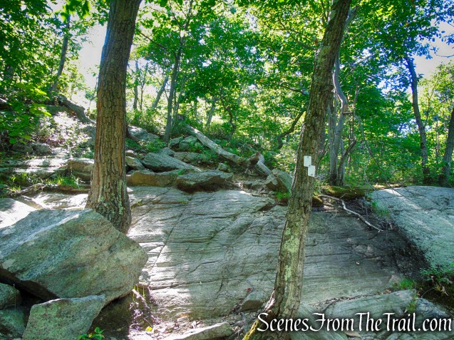 Castle Loop Trail – Ramapo Mountain State Forest