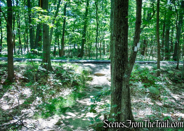 Castle Loop Trail – Ramapo Mountain State Forest