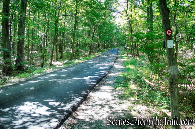 Castle Loop Trail – Ramapo Mountain State Forest
