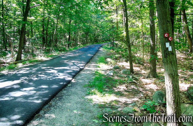 Castle Loop Trail – Ramapo Mountain State Forest