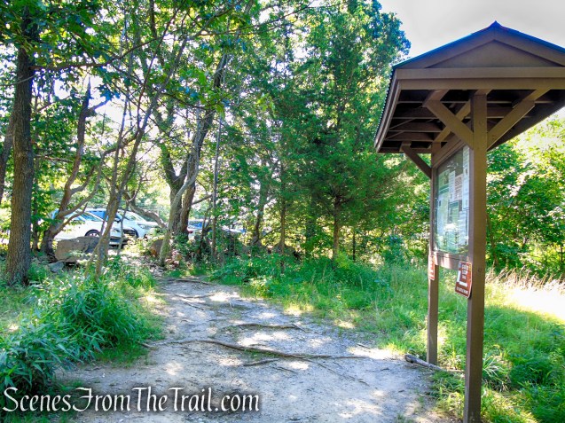 terminus of Castle Loop Trail – Ramapo Mountain State Forest