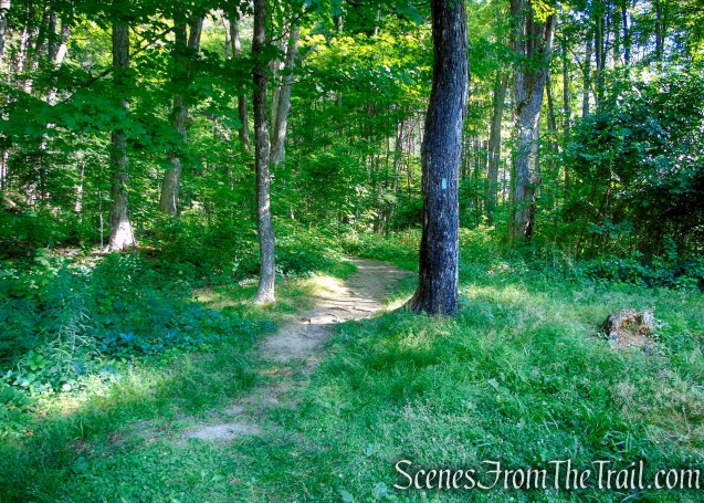 Pine Knob Loop Trail
