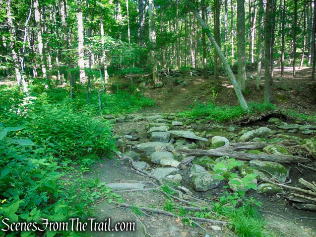 dry stream crossing - Pine Knob Loop Trail