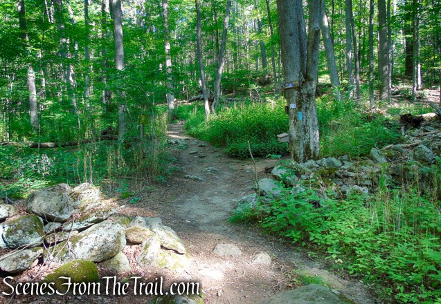 Pine Knob Loop Trail