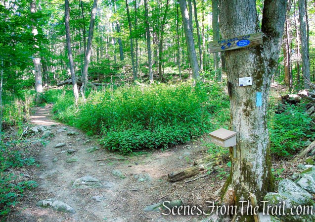 Turn right - Pine Knob Loop Trail