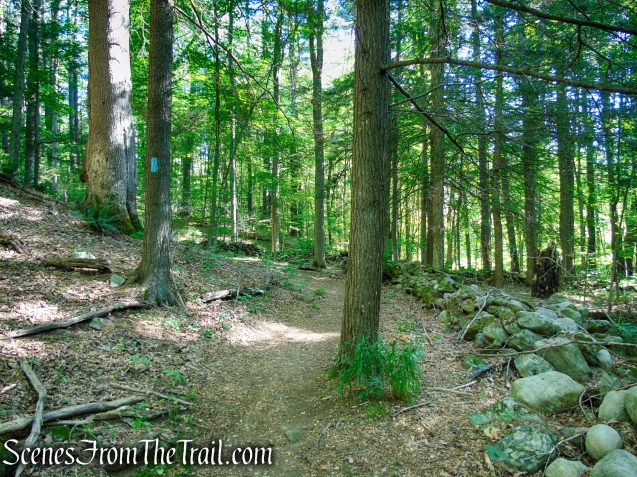 Pine Knob Loop Trail
