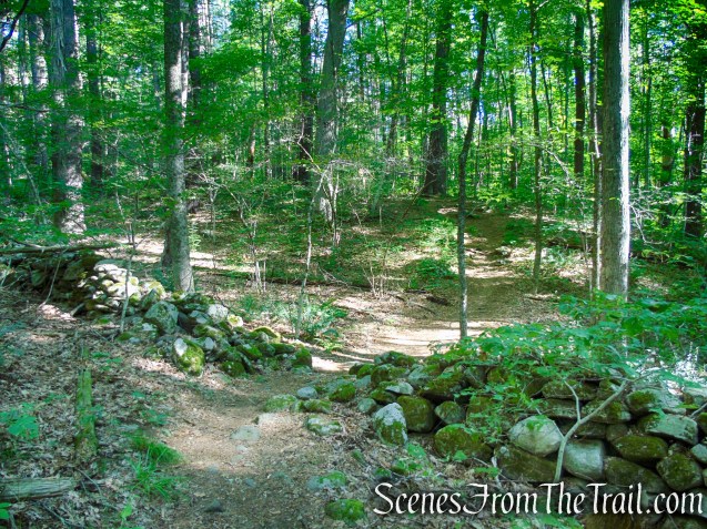 Pine Knob Loop Trail