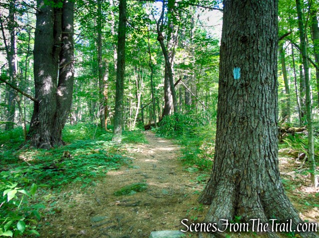 Pine Knob Loop Trail