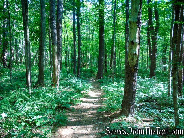 Pine Knob Loop Trail