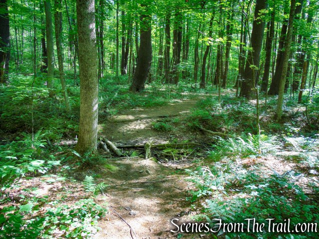 Pine Knob Loop Trail