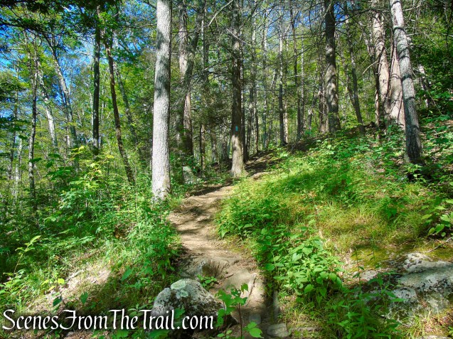 Pine Knob Loop Trail