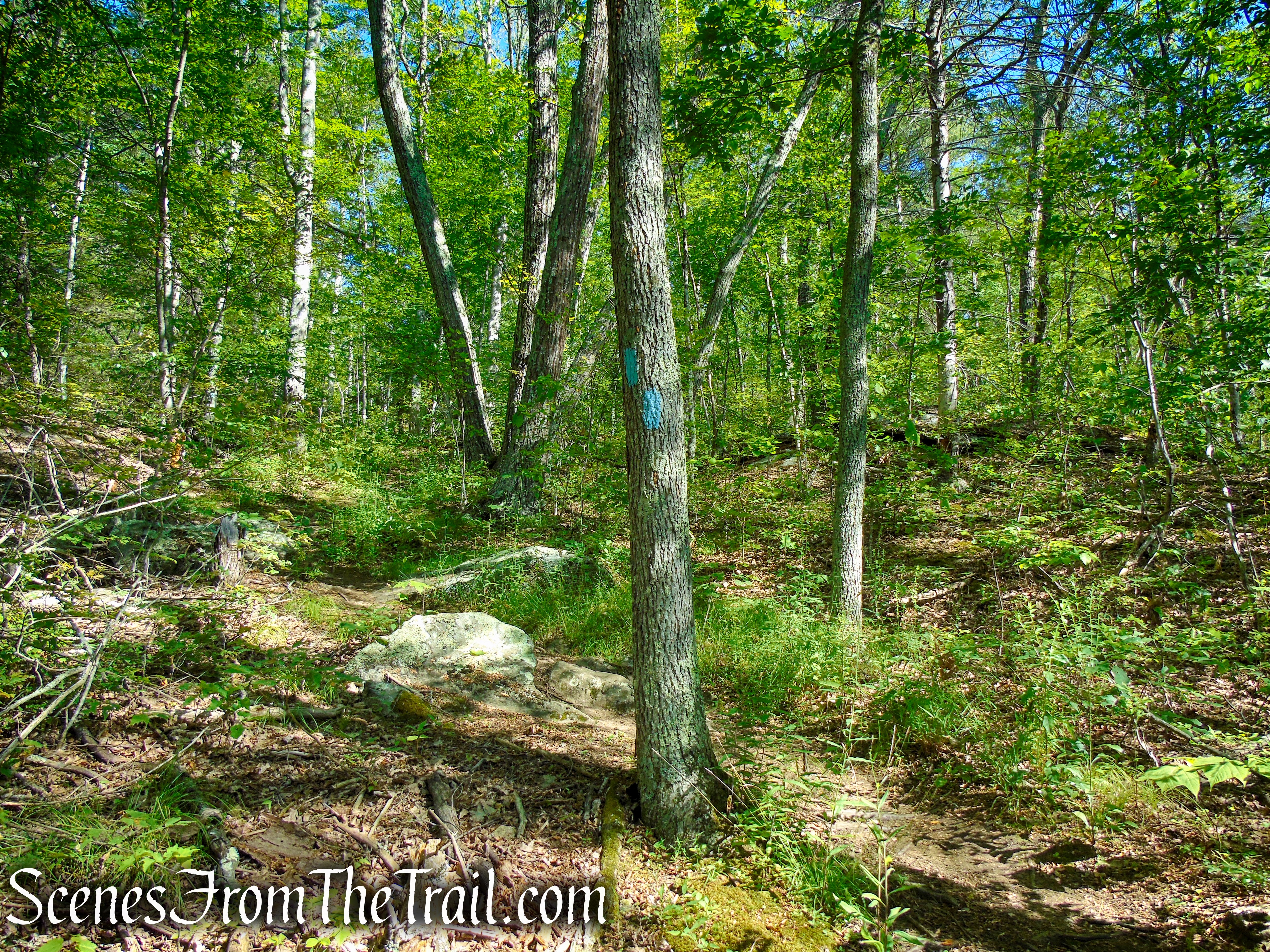 Pine Knob Loop Trail