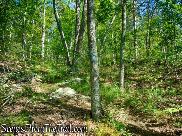 Pine Knob Loop Trail