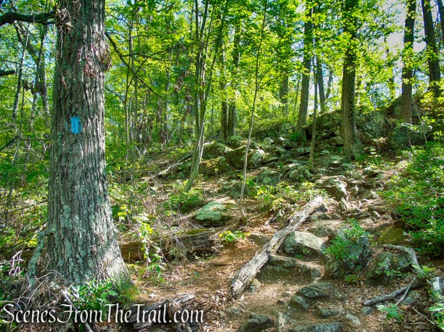 Pine Knob Loop Trail