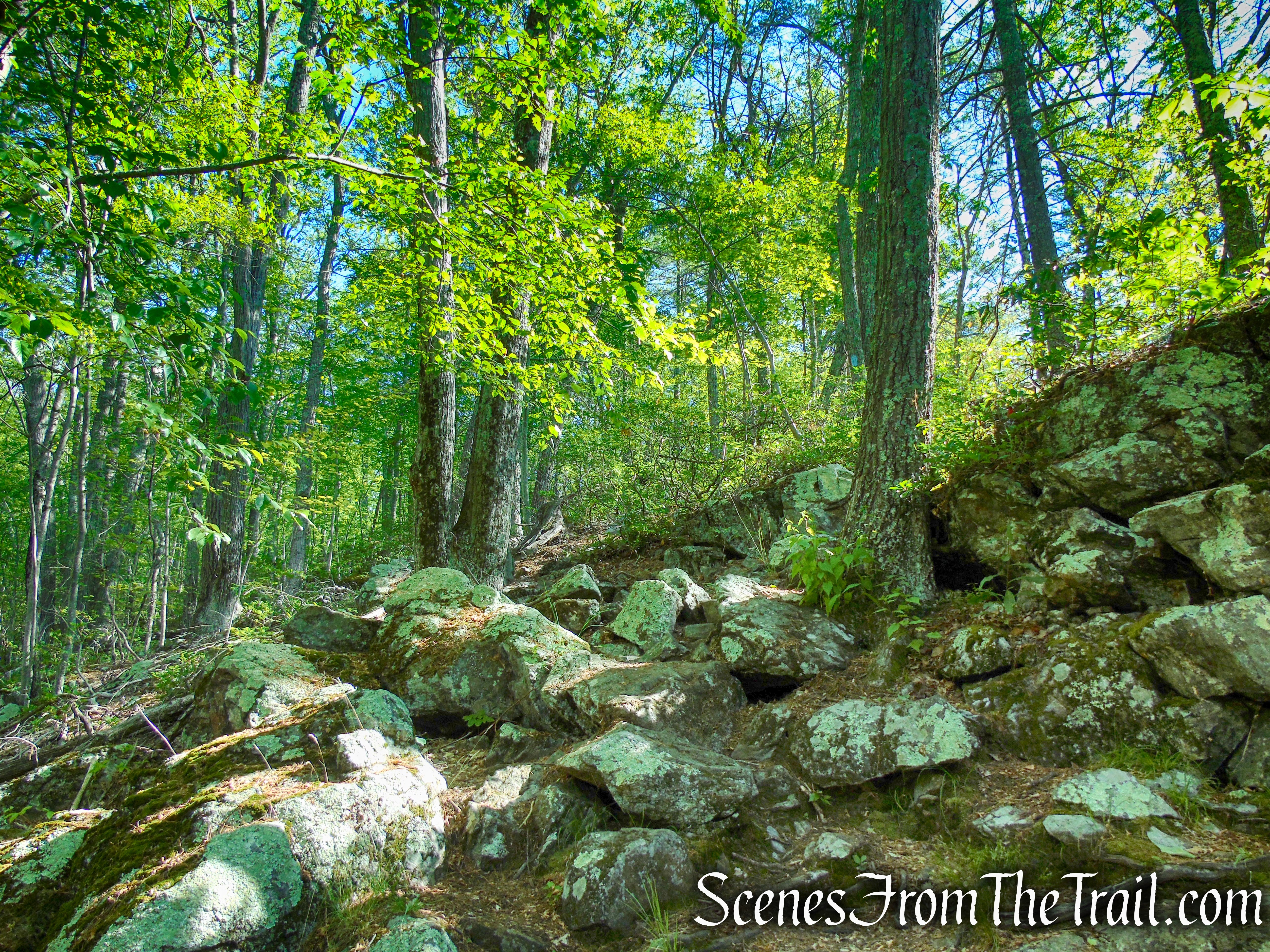 Pine Knob Loop Trail