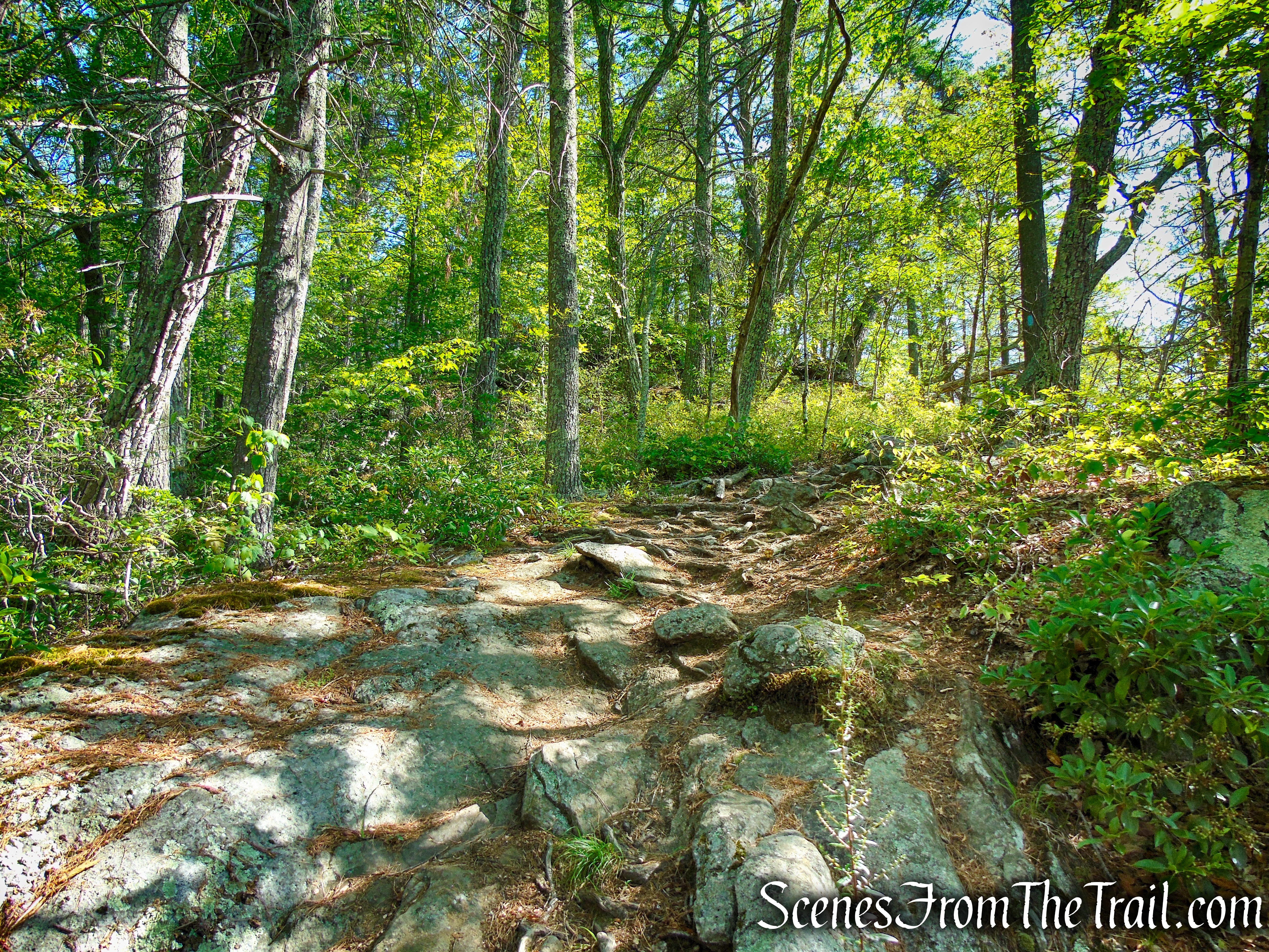 Pine Knob Loop Trail