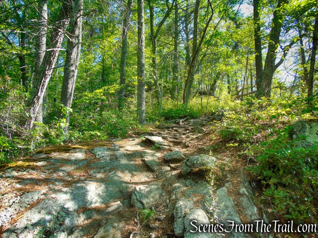Pine Knob Loop Trail