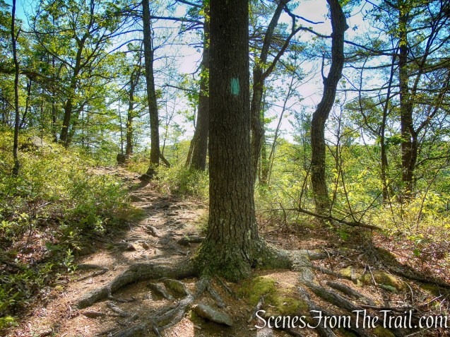 Pine Knob Loop Trail