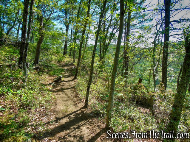 Pine Knob Loop Trail