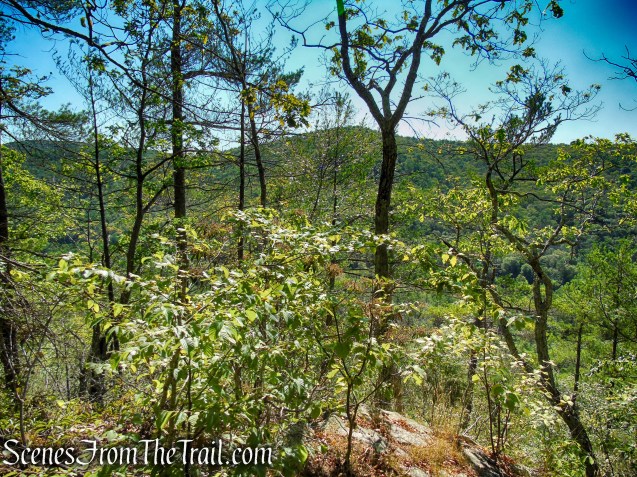 Pine Knob Loop Trail