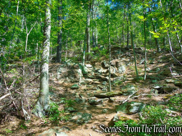 Pine Knob Loop Trail