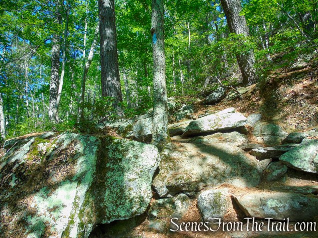 Pine Knob Loop Trail