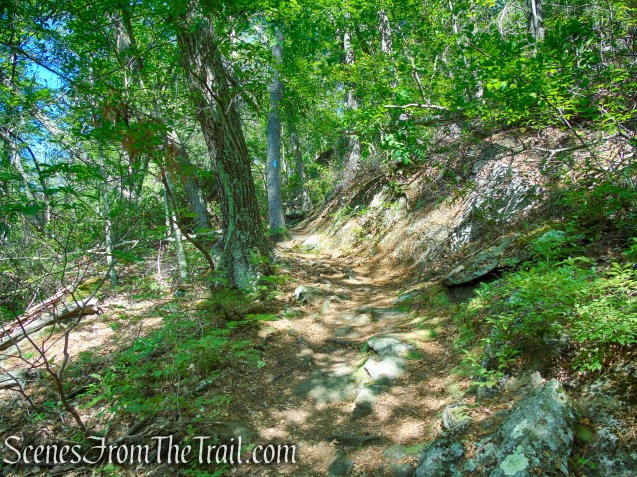 Pine Knob Loop Trail