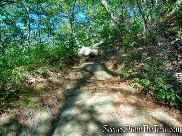 Pine Knob Loop Trail