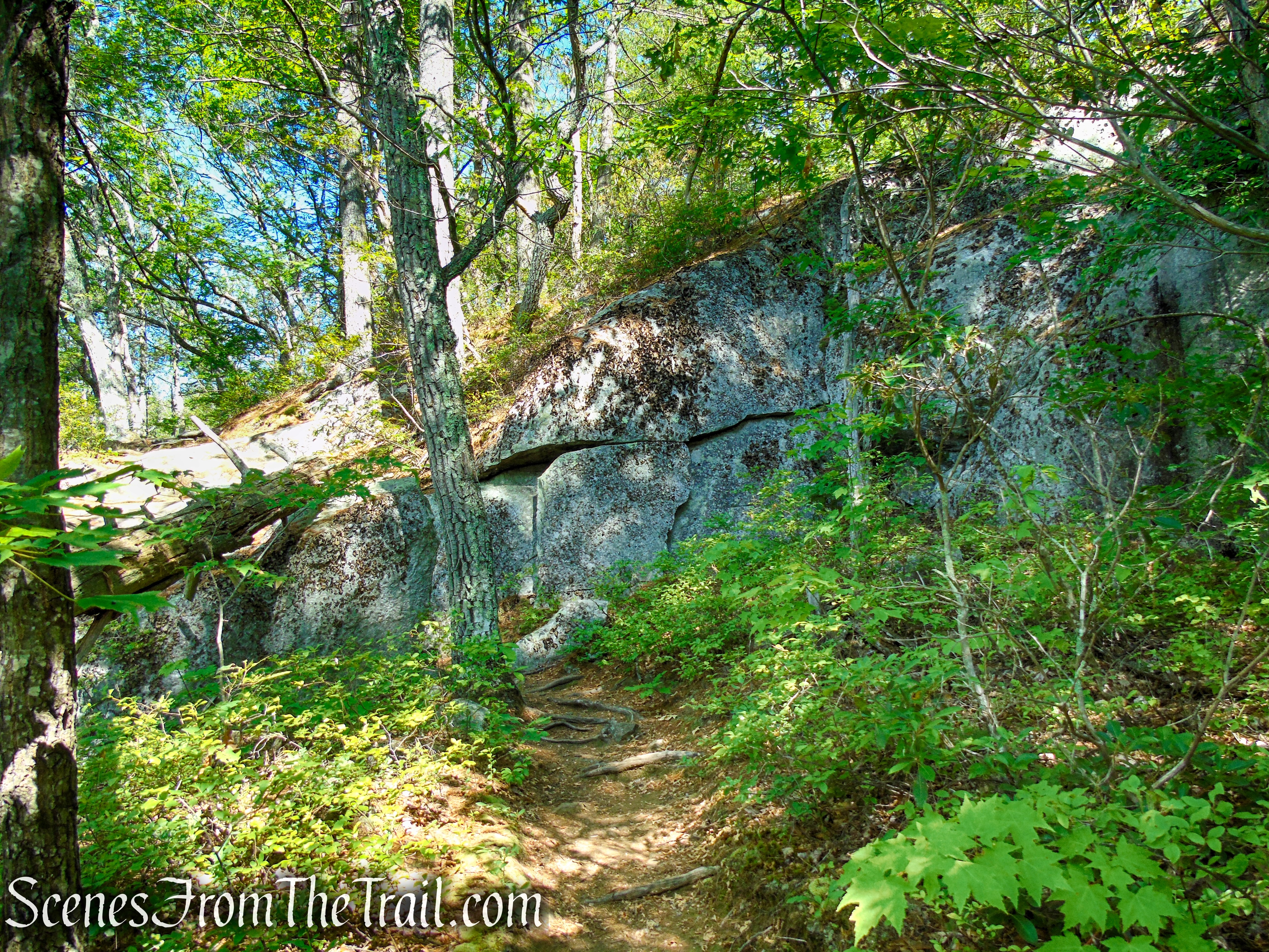 Pine Knob Loop Trail