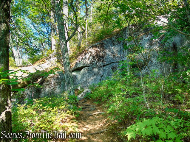 Pine Knob Loop Trail
