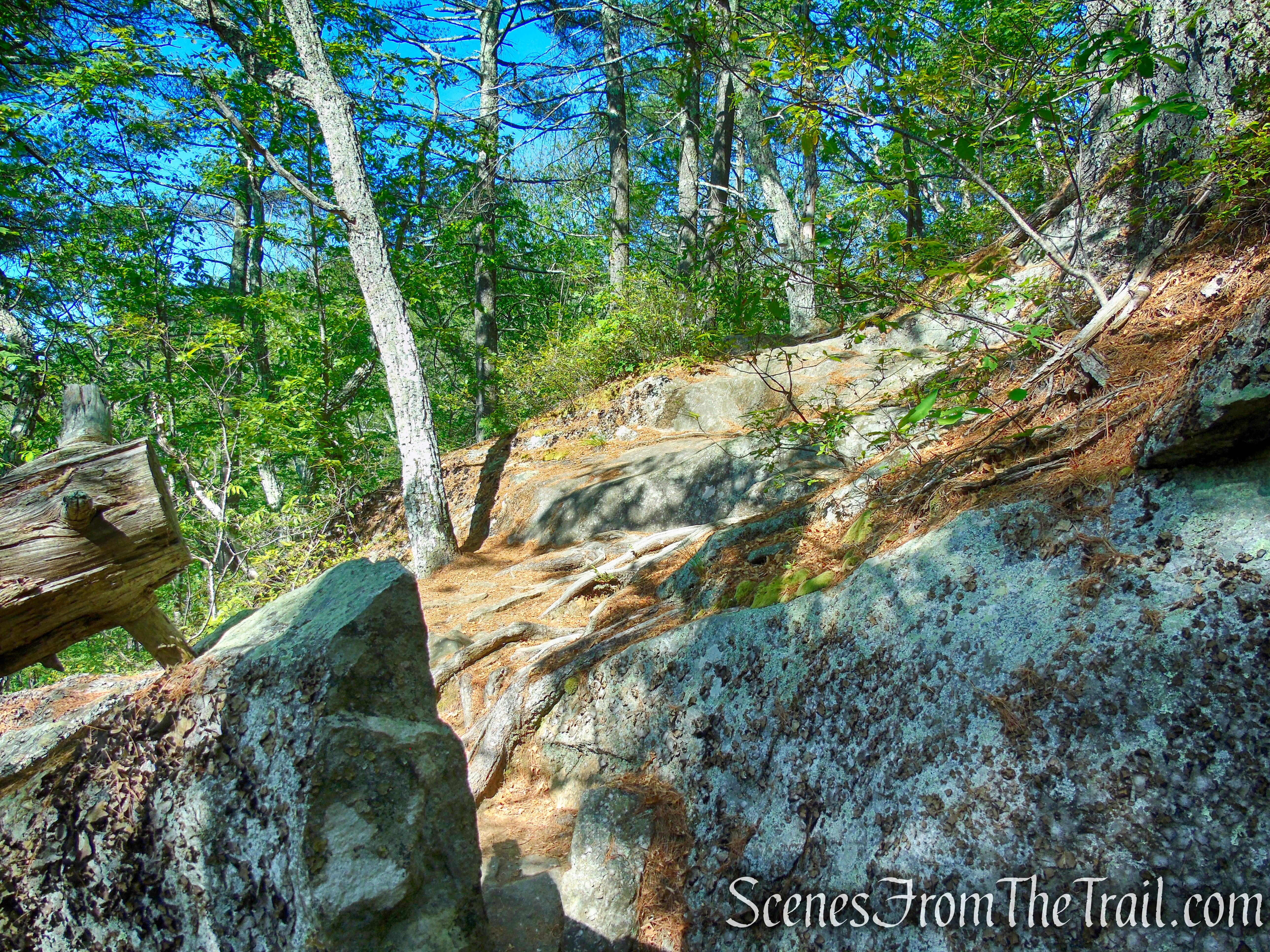Pine Knob Loop Trail