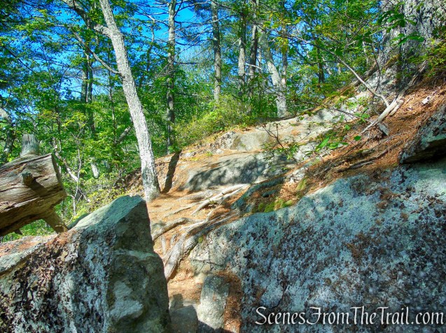Pine Knob Loop Trail