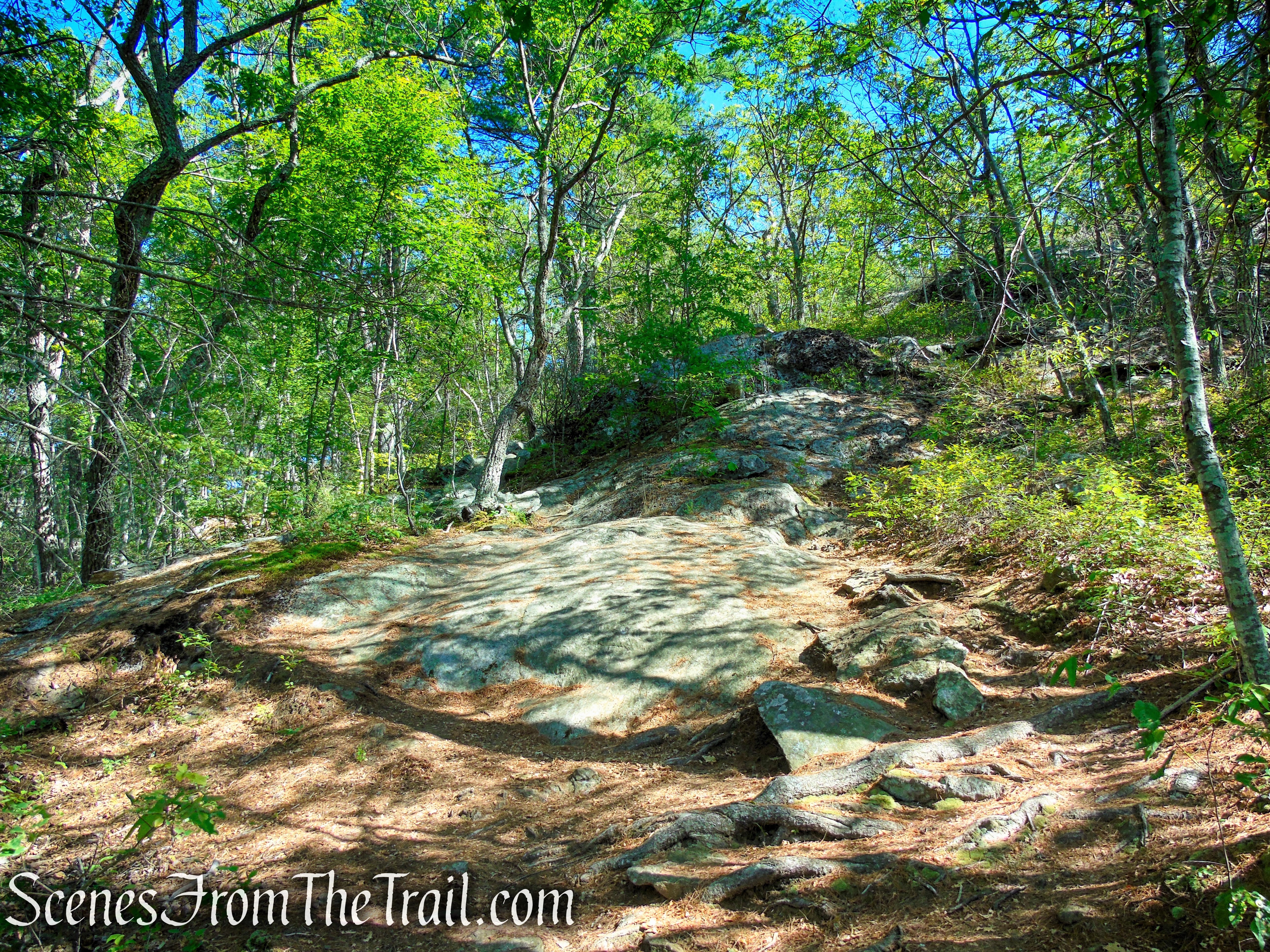 Pine Knob Loop Trail