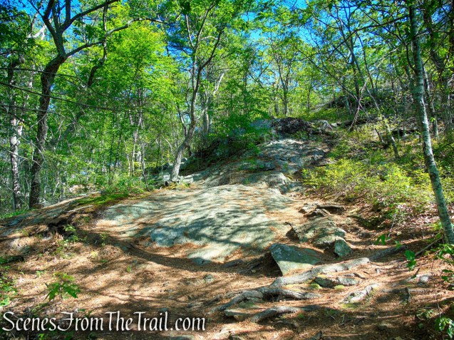 Pine Knob Loop Trail