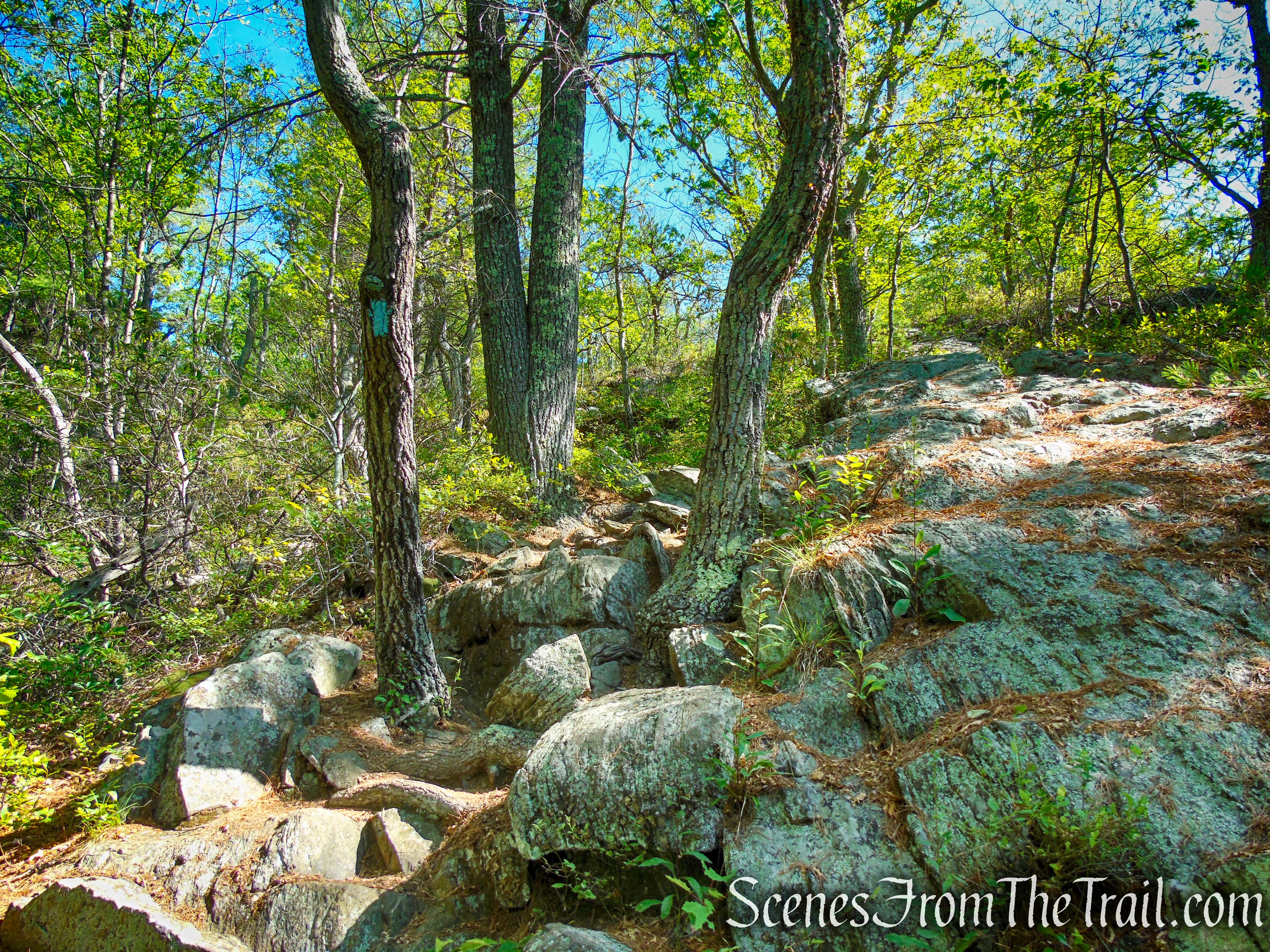 Pine Knob Loop Trail