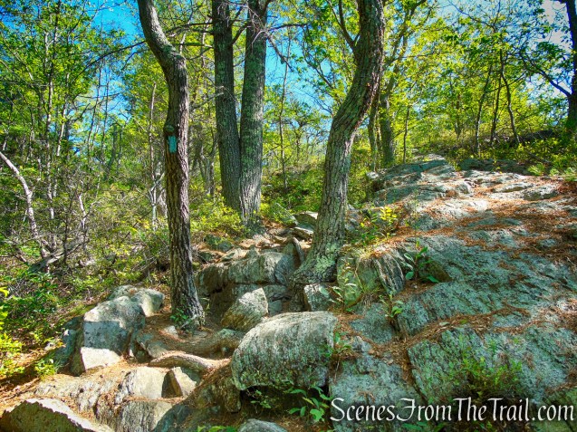 Pine Knob Loop Trail