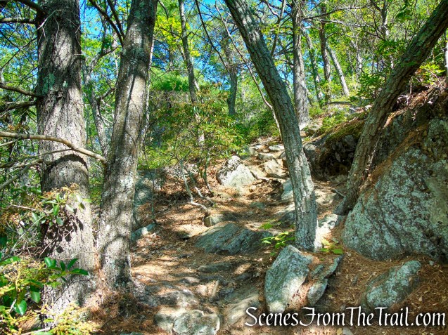 Pine Knob Loop Trail