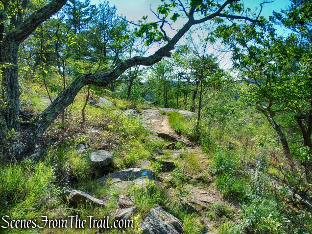 Pine Knob Loop Trail