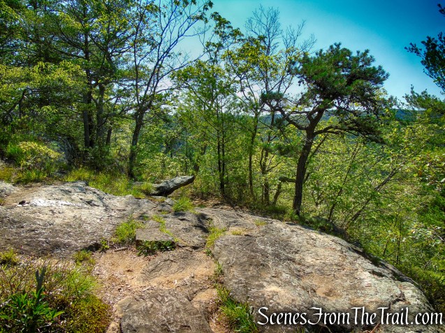Pine Knob Loop Trail